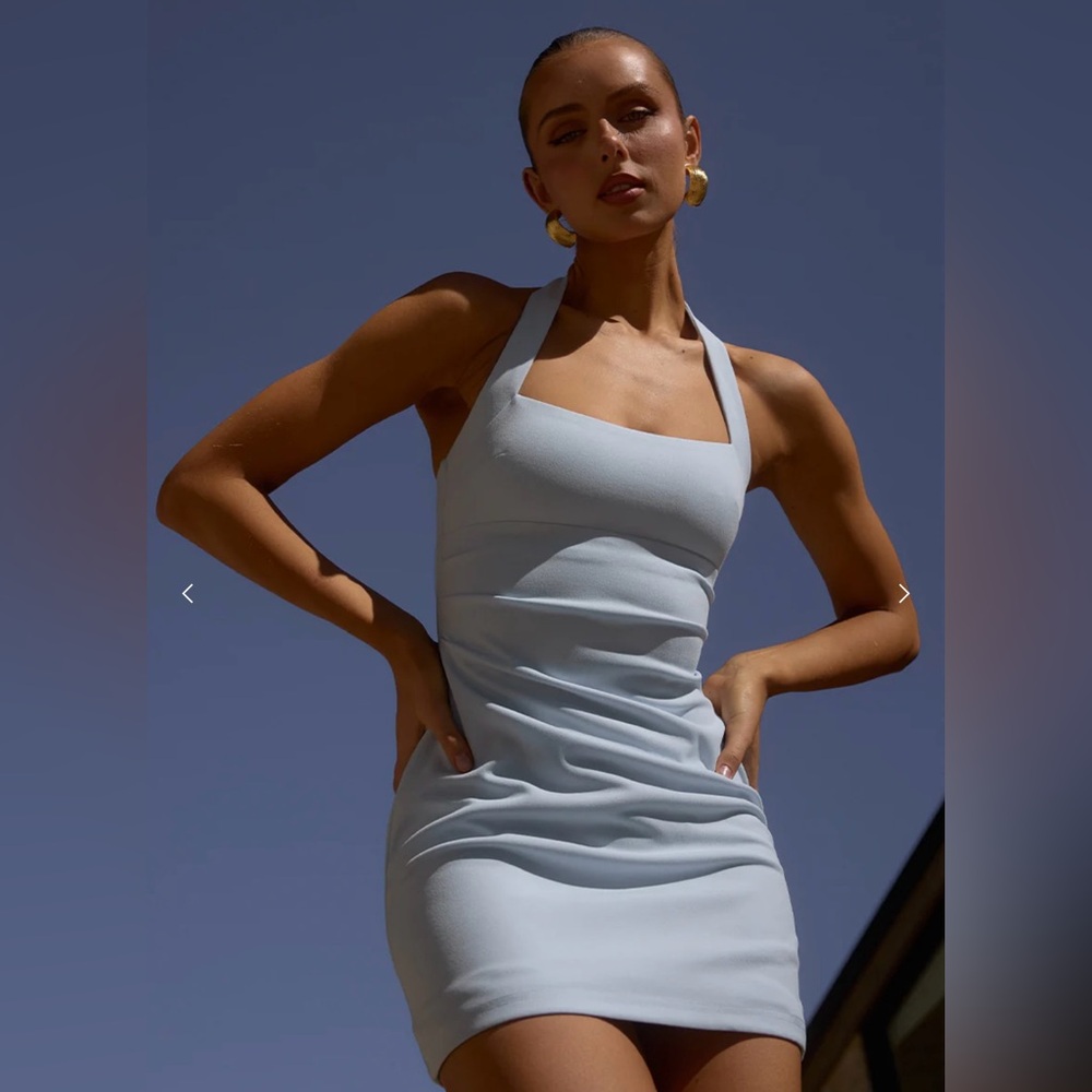Runaway the label dress size large, excellent condition